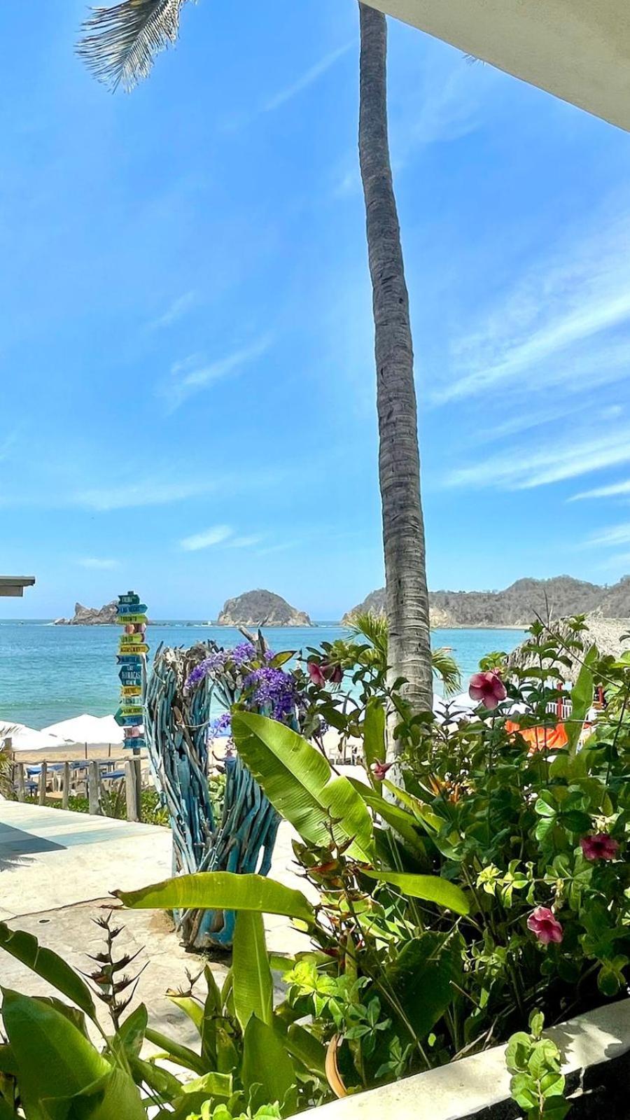 Bungalows Las Hamacas San Patricio Melaque Dış mekan fotoğraf